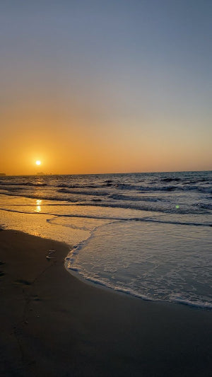 lounaalb25