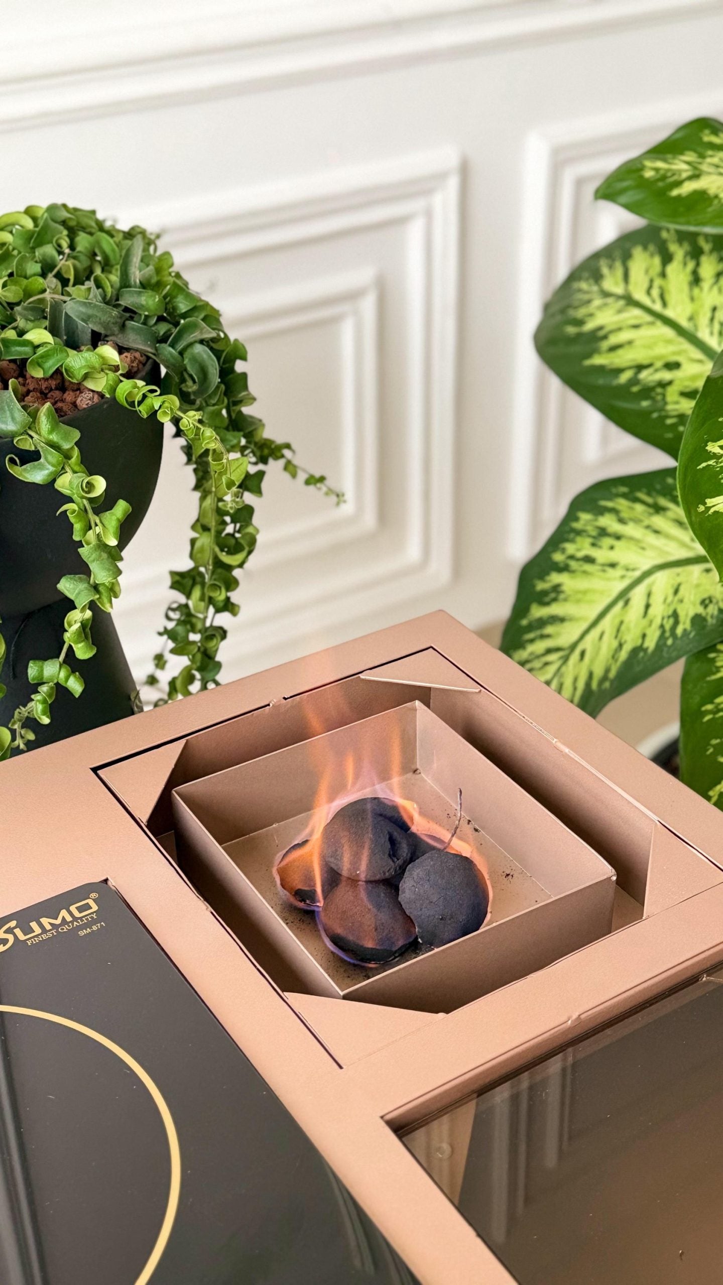 ترولي الدوة برو ماكس (3 في 1) – 5 ألوان | Mister Homes